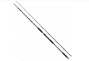 Wędka Jaxon Eclatis Catfish 3,15m. do 500g.