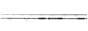 Wędka Jaxon Eclatis Catfish 3m do 450g.