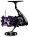 prorex241.jpg